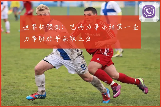 世界杯预测：巴西力争小组第一全力争胜对手获取三分