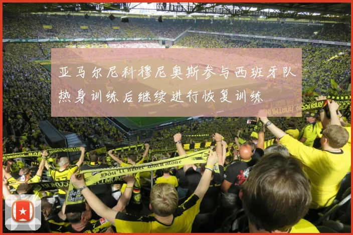 亚马尔尼科穆尼奥斯参与西班牙队热身训练后继续进行恢复训练
